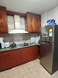 Dover Parkview (D5), Condominium #567699441